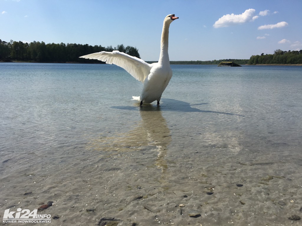 W Przyjezierzu przed sezonem