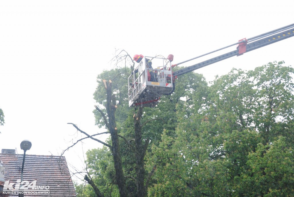 Utrudnienia na Roosevelta