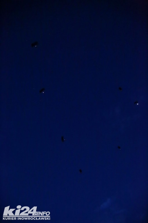 Anakonda 2016