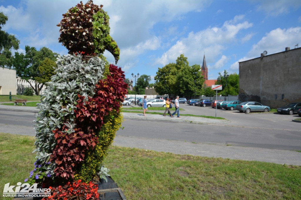 Sowa i skrzypce w centrum miasta