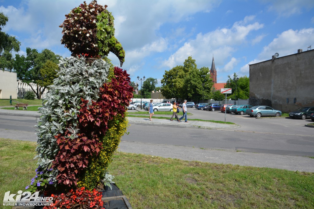 Sowa i skrzypce w centrum miasta
