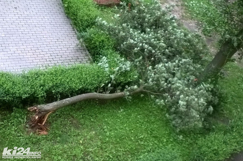 Wichura czyni spustoszenie