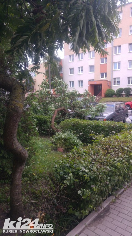 Wichura czyni spustoszenie