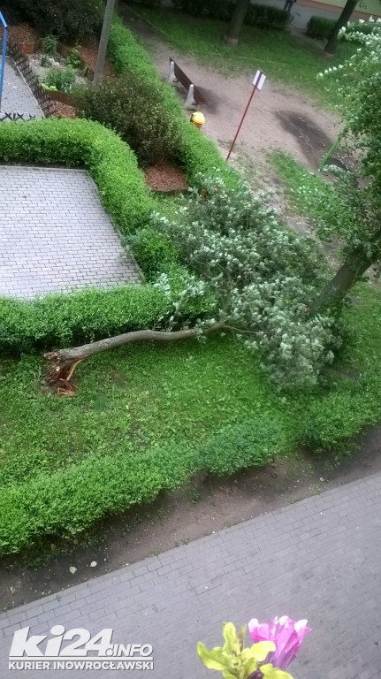 Wichura czyni spustoszenie