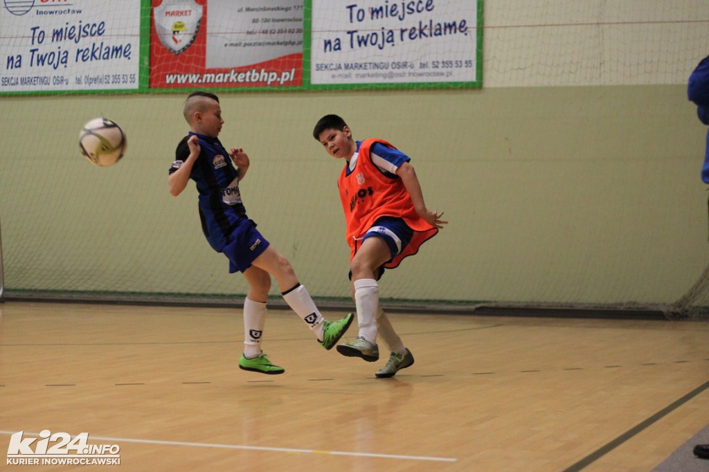 Winter Błękit CUP