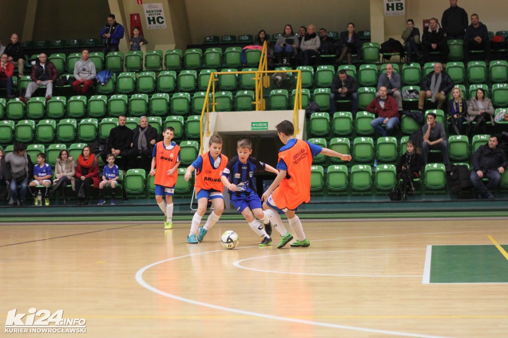 Winter Błękit CUP