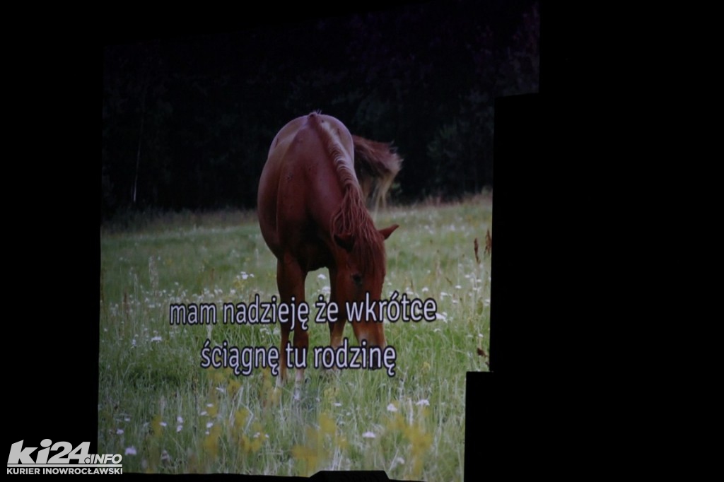 Kabaret Młodych Panów