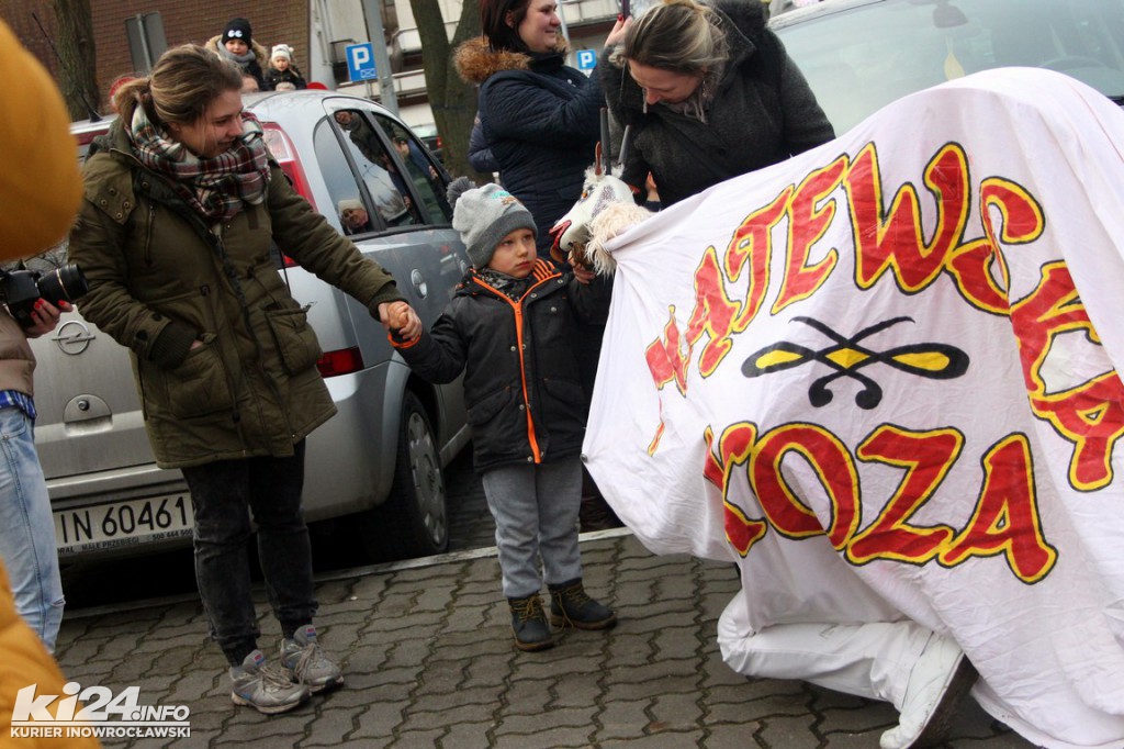 Ostatki z kozą w Inowrocławiu