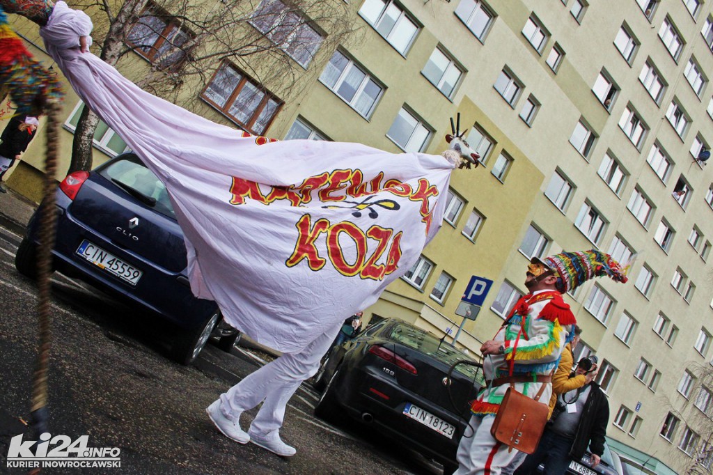 Ostatki z kozą w Inowrocławiu