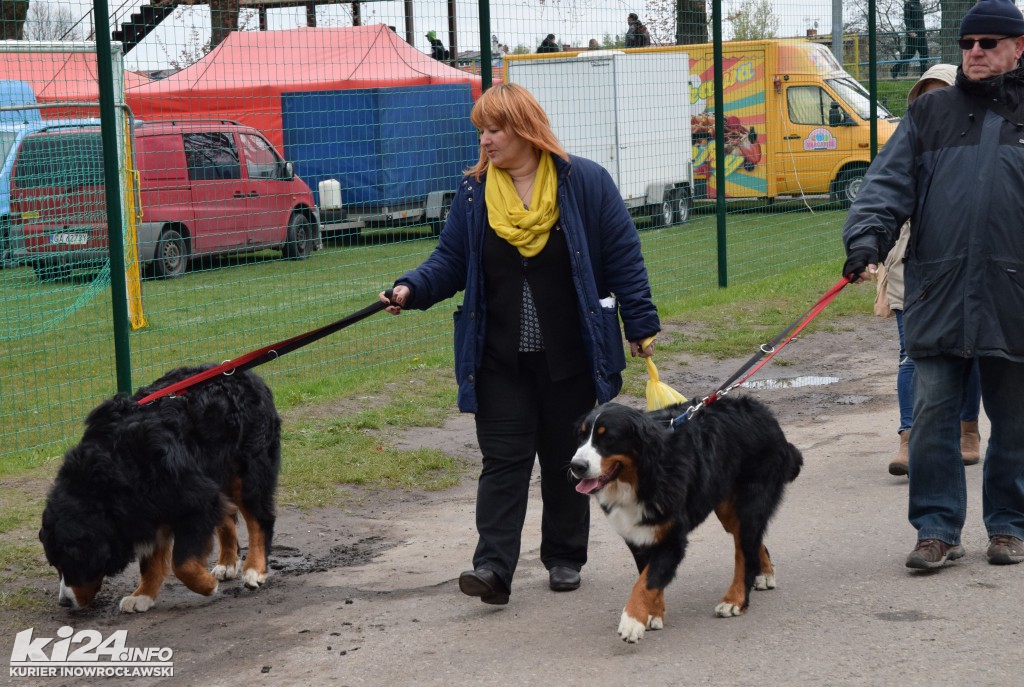  XXXII Krajowa Wystawa Psów Rasowych