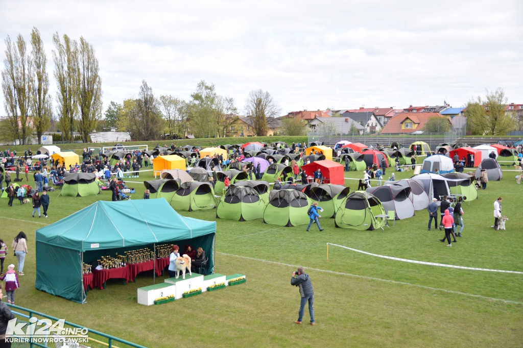  XXXII Krajowa Wystawa Psów Rasowych