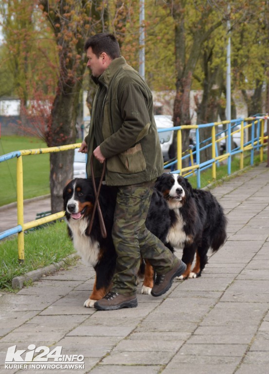  XXXII Krajowa Wystawa Psów Rasowych