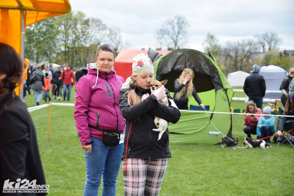  XXXII Krajowa Wystawa Psów Rasowych