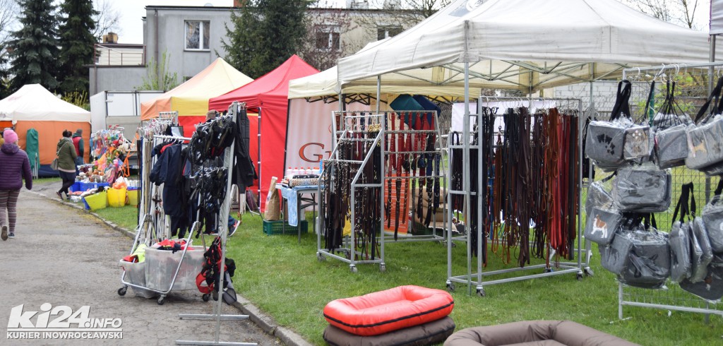  XXXII Krajowa Wystawa Psów Rasowych