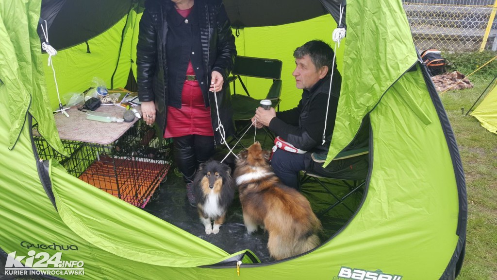  XXXII Krajowa Wystawa Psów Rasowych