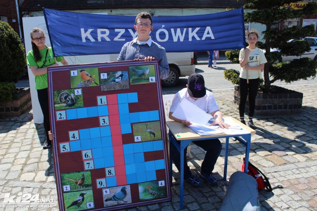 Dni Gniewkowa - dzień 1