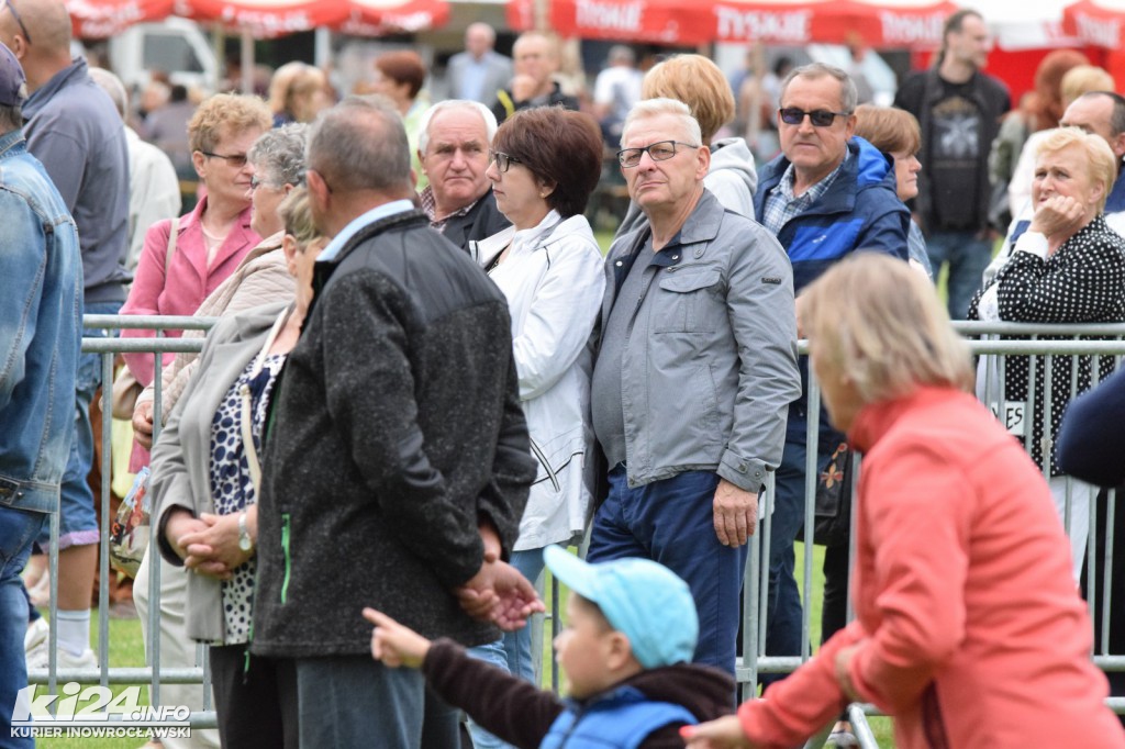Dni Janikowa 2017