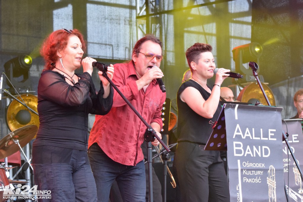 Dni Janikowa 2017