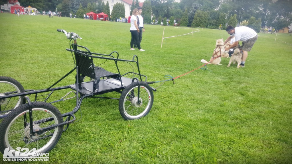 Ogólnopolski Wyścig Kolarski dla Amatorów o Puchar Popiela