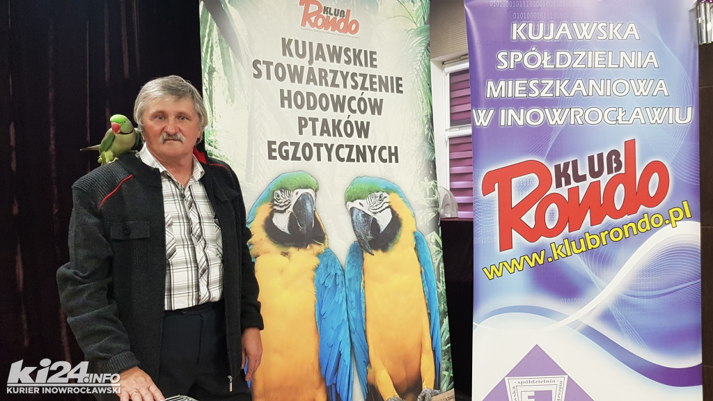 Wystawa ptaków egzotycznych w klubie Rondo