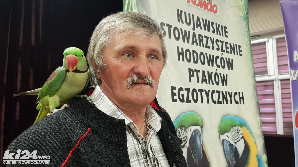 Wystawa ptaków egzotycznych w klubie Rondo