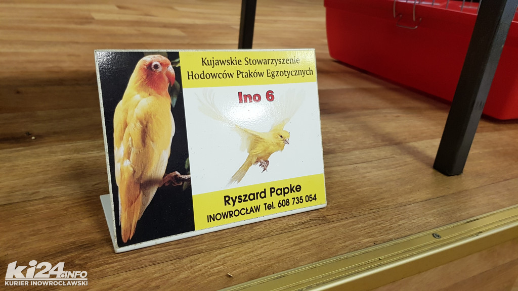 Wystawa ptaków egzotycznych w klubie Rondo