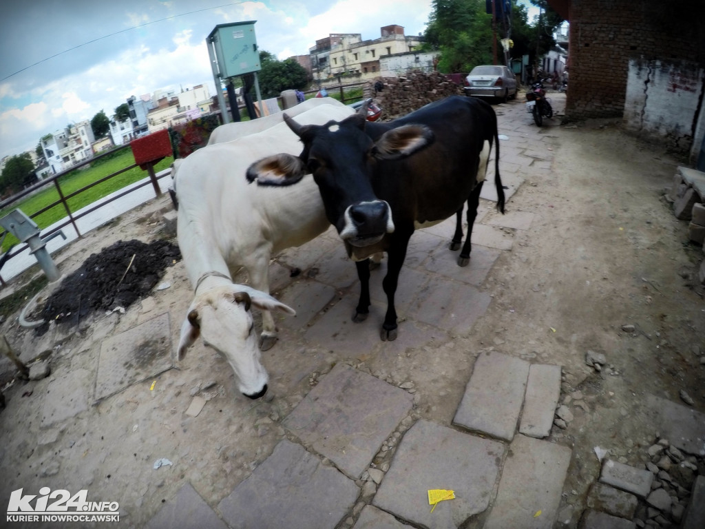 Którędy do przodu? VARANASI