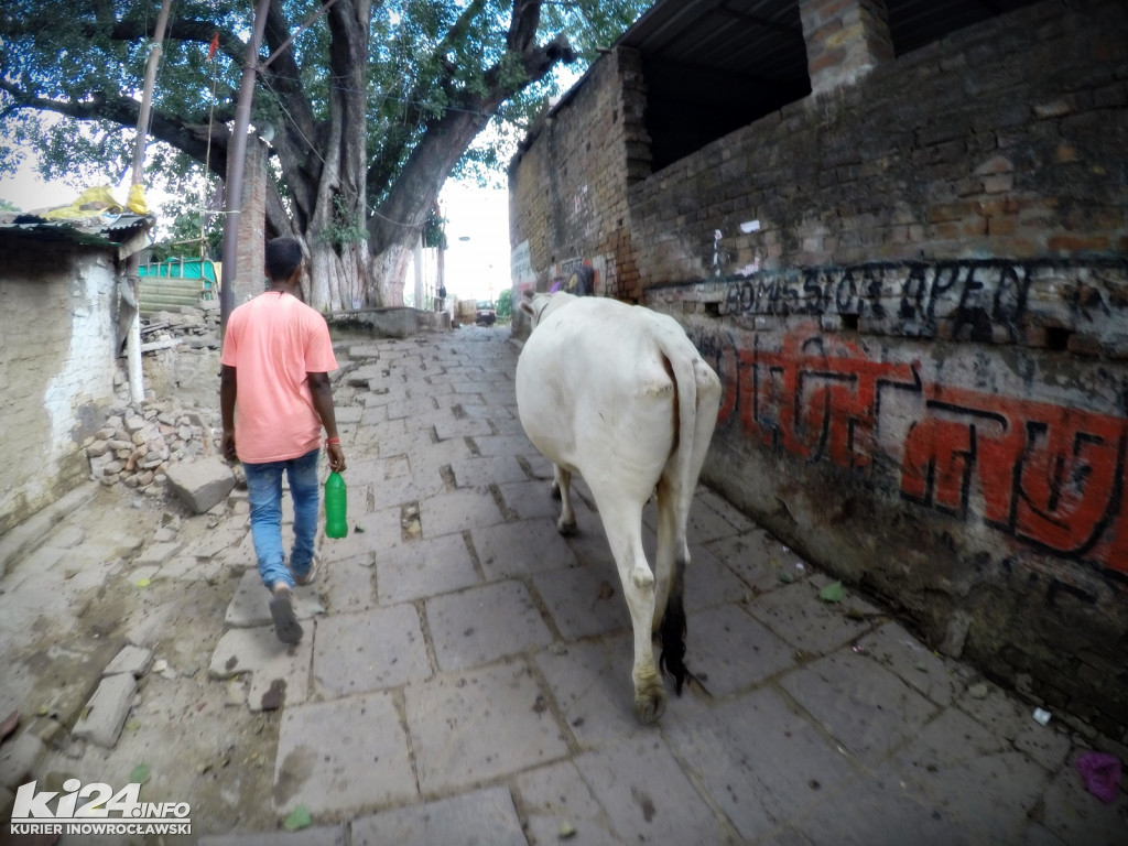 Którędy do przodu? VARANASI