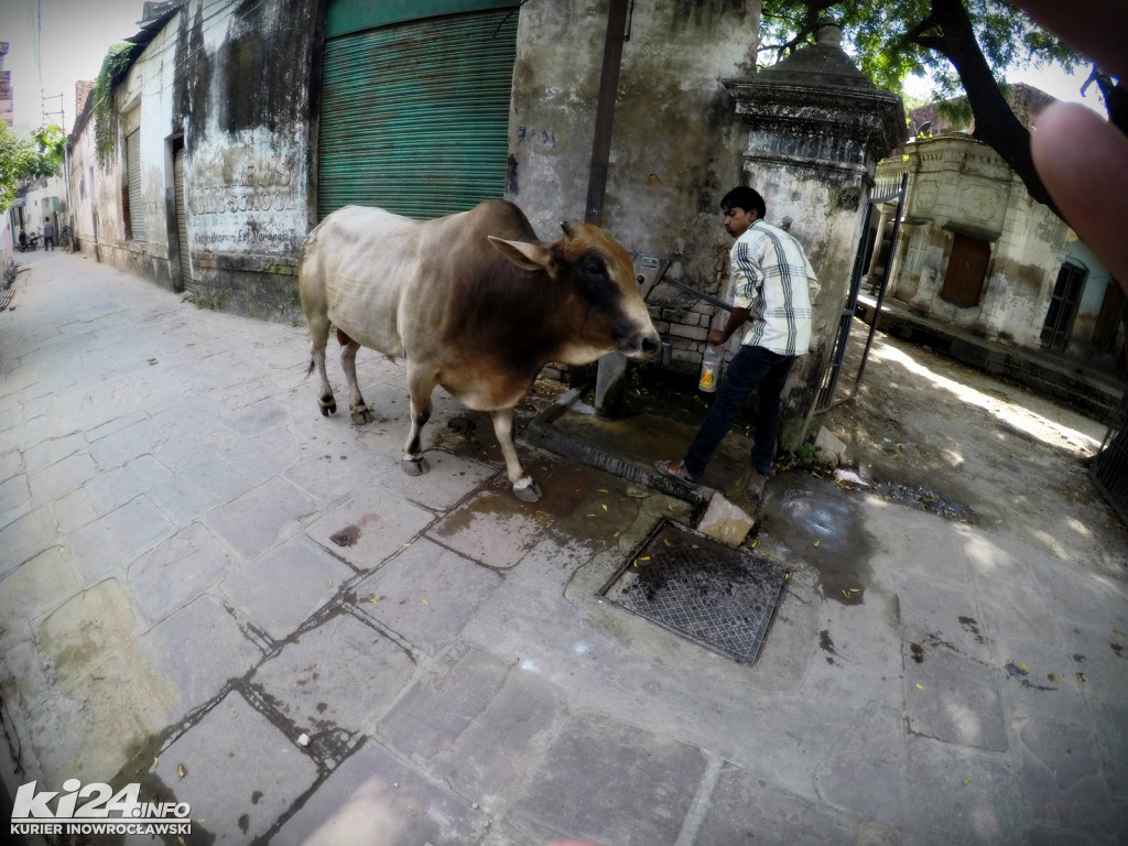 Którędy do przodu? VARANASI