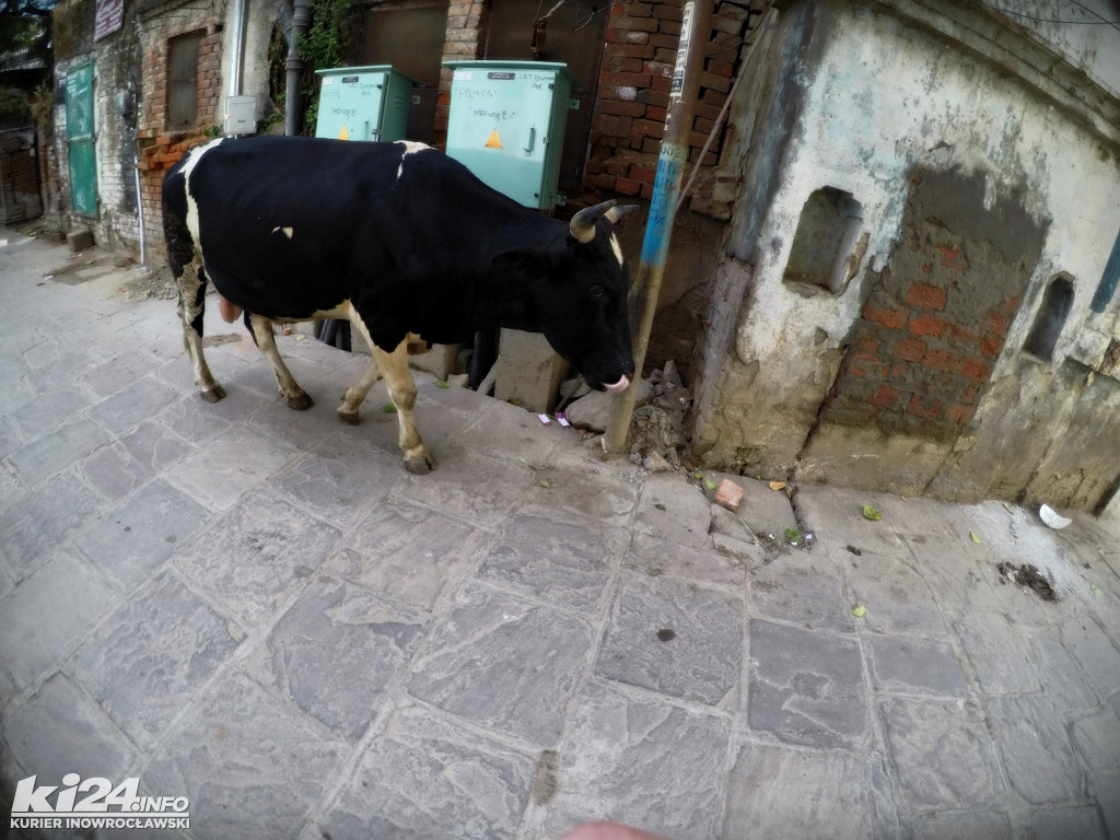 Którędy do przodu? VARANASI