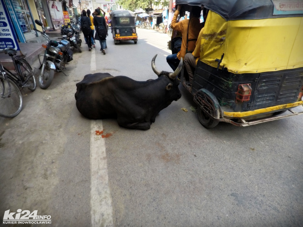 Którędy do przodu? VARANASI
