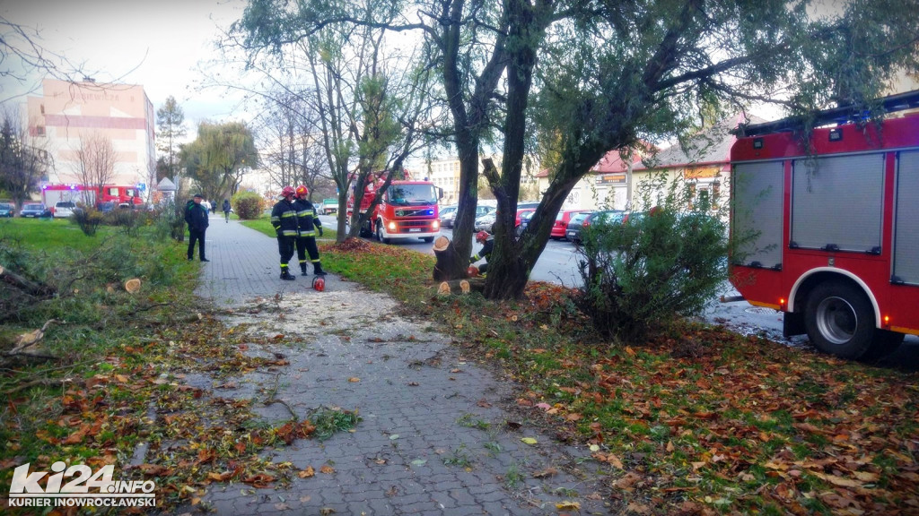 Znów mocno wieje. Strażacy wciąż w pogotowiu
