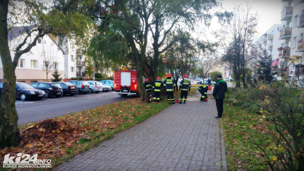 Znów mocno wieje. Strażacy wciąż w pogotowiu