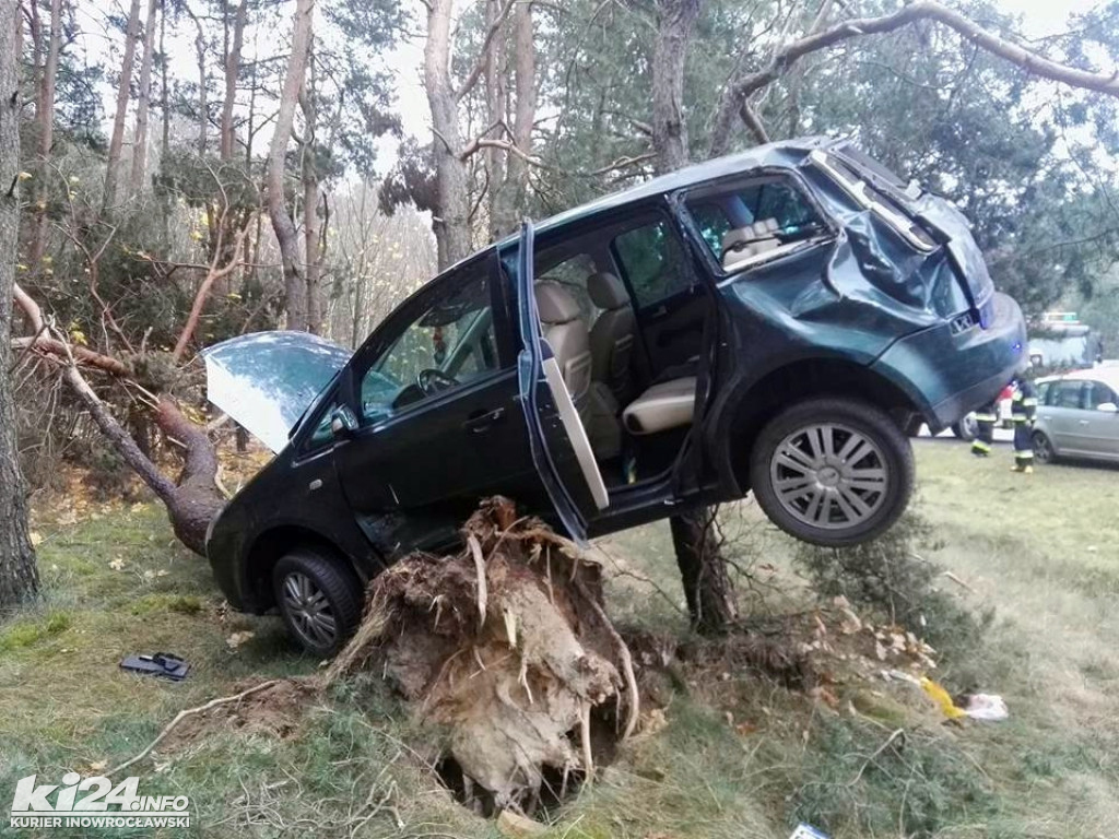 Ford zawieszony na drzewie