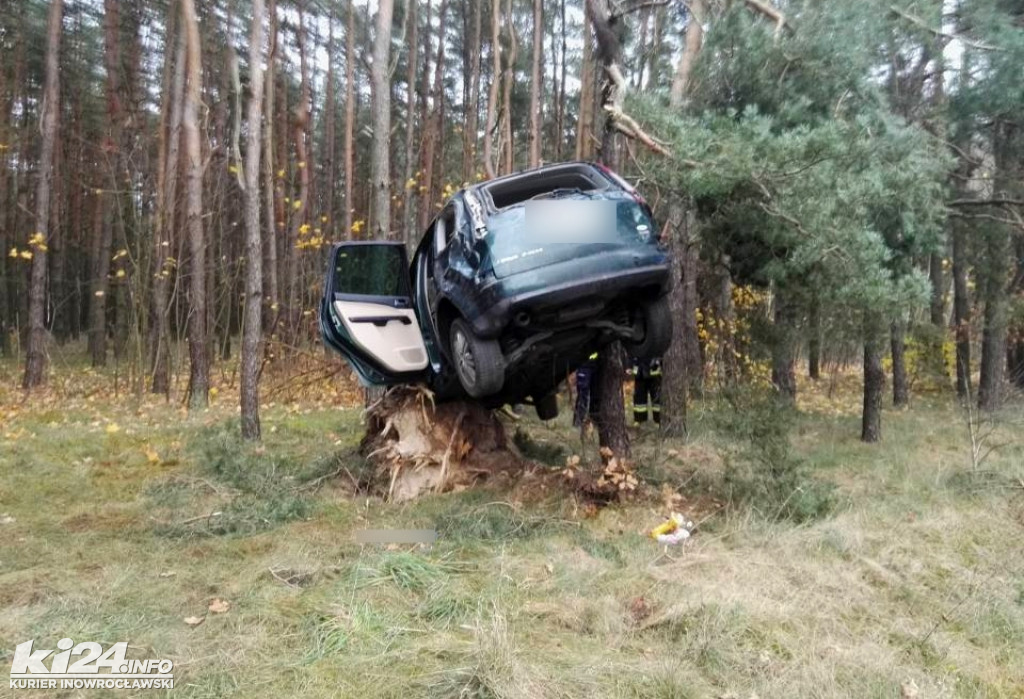 Ford zawieszony na drzewie