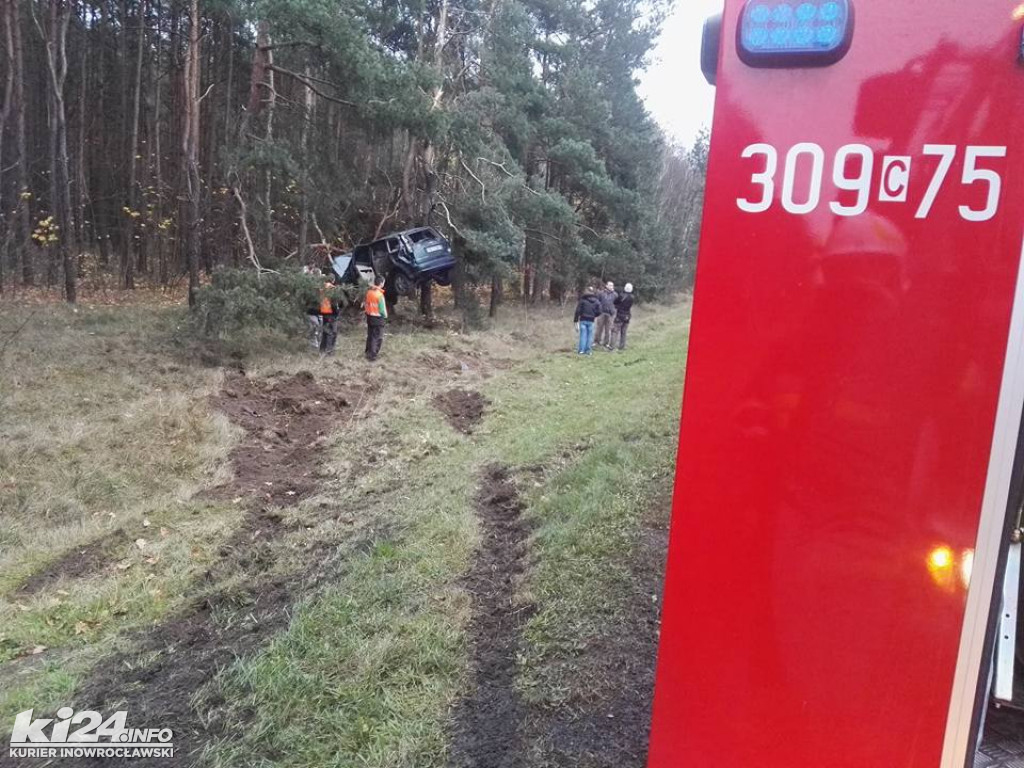 Ford zawieszony na drzewie