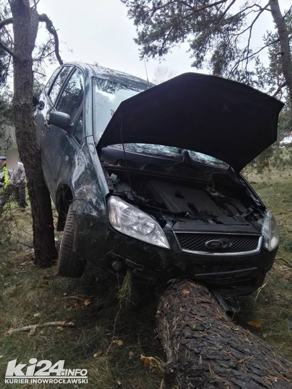 Ford zawieszony na drzewie