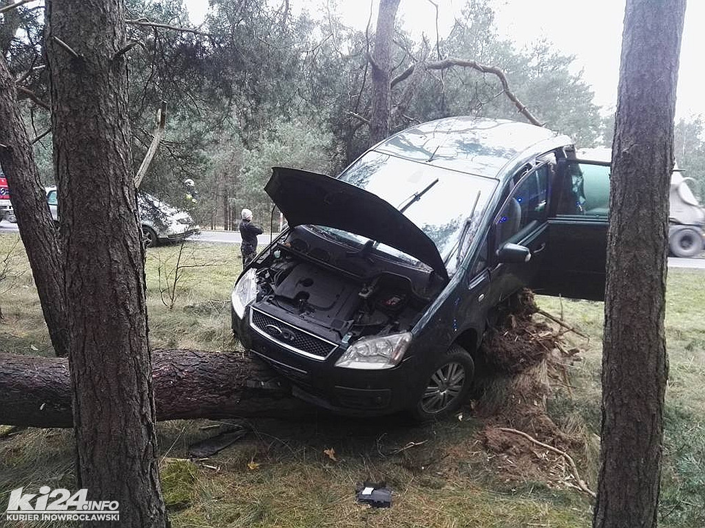 Ford zawieszony na drzewie