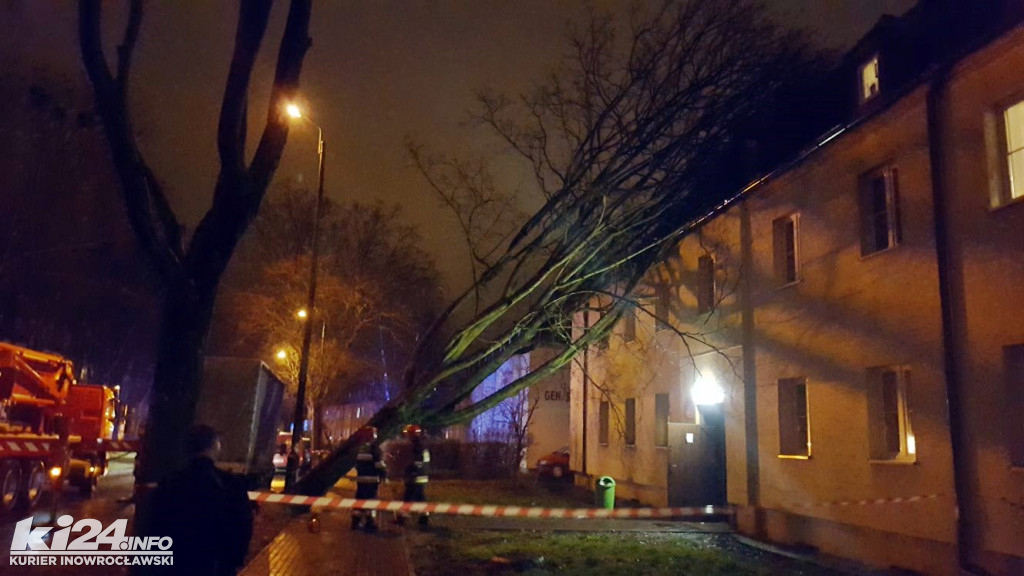 Wielkie drzewo runęło na blok