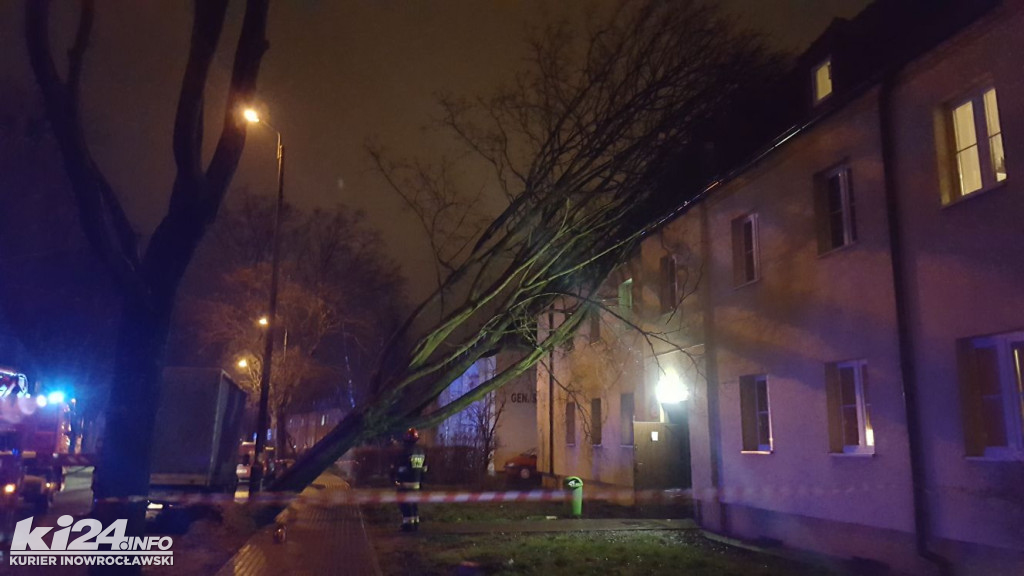 Wielkie drzewo runęło na blok