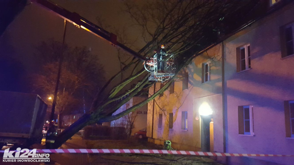 Wielkie drzewo runęło na blok