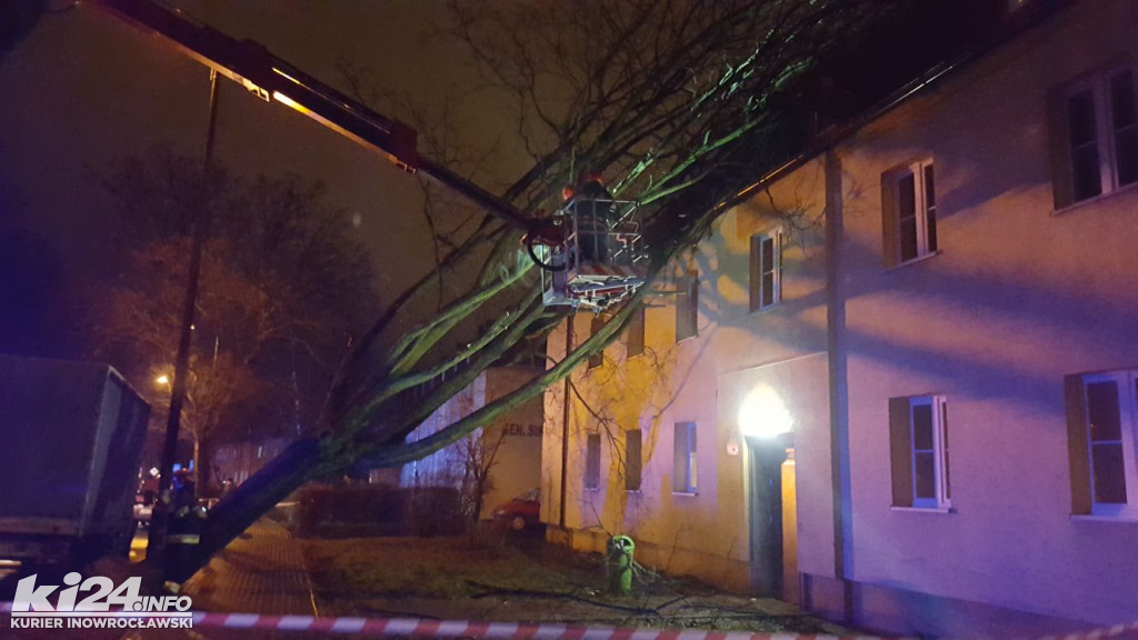 Wielkie drzewo runęło na blok