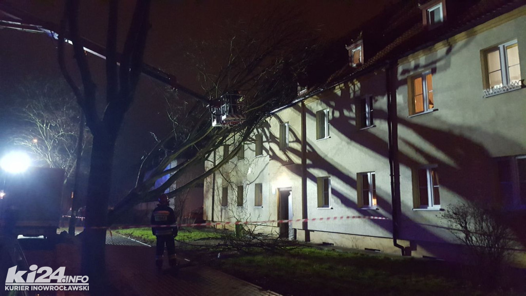 Wielkie drzewo runęło na blok