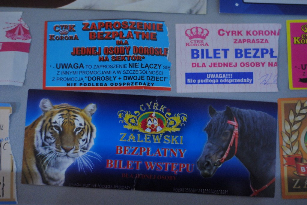 250 lat cyrku w zbiorach Bartosza Kujawy