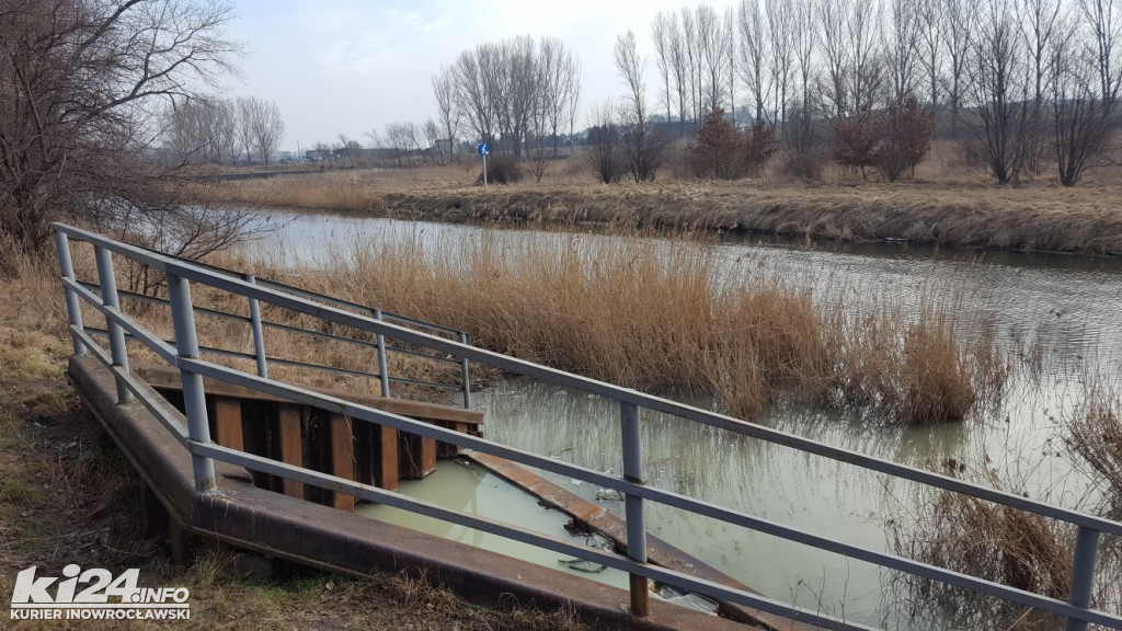 Zanieczyszczenie Noteci w Mątwach