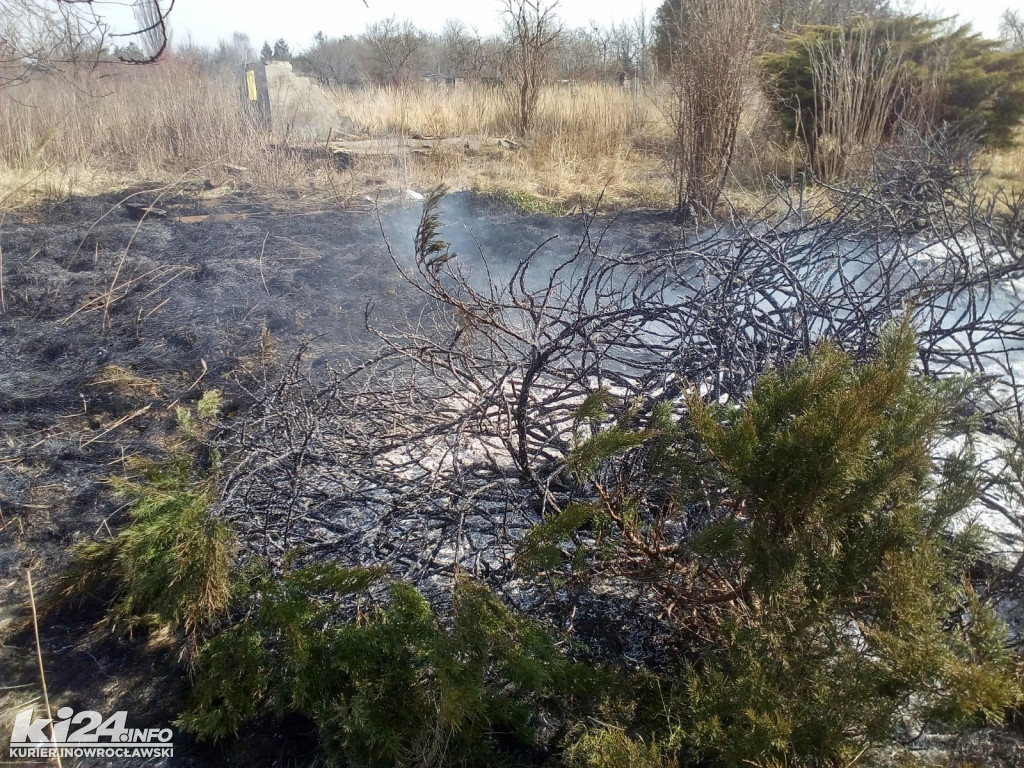 Pożar trwa przy ul. Rzecznej
