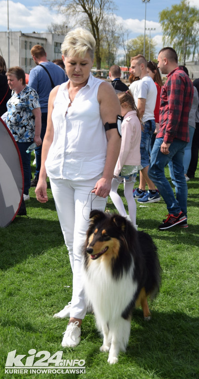 XXXIII Krajowa Wystawa Psów Rasowych