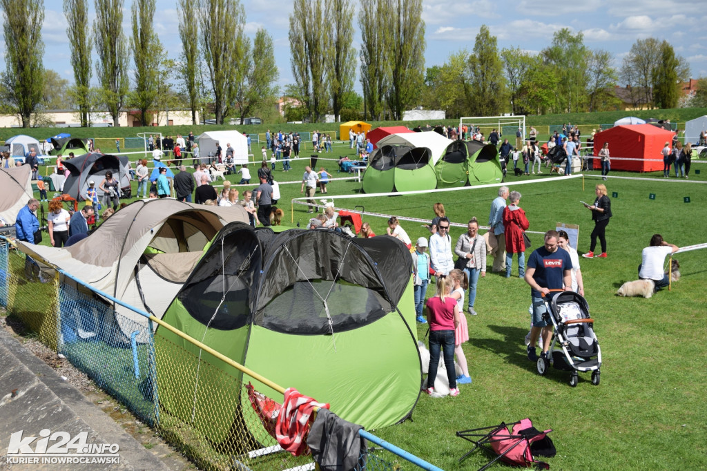 XXXIII Krajowa Wystawa Psów Rasowych