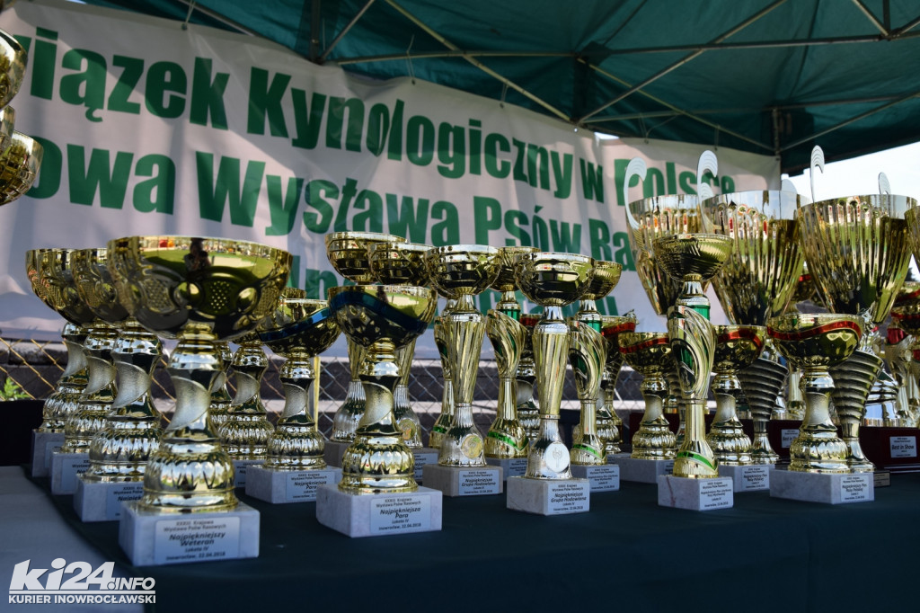 XXXIII Krajowa Wystawa Psów Rasowych