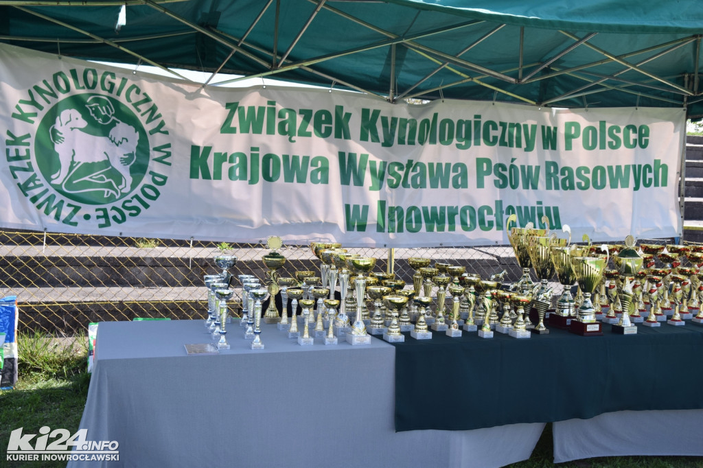 XXXIII Krajowa Wystawa Psów Rasowych